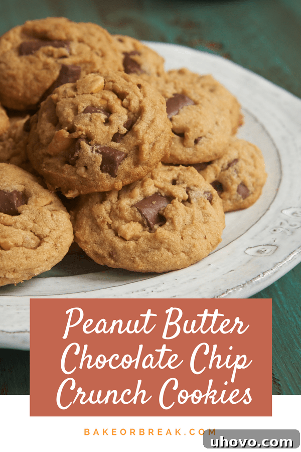 Hidden tracking image for Peanut Butter Chocolate Chip Crunch Cookies