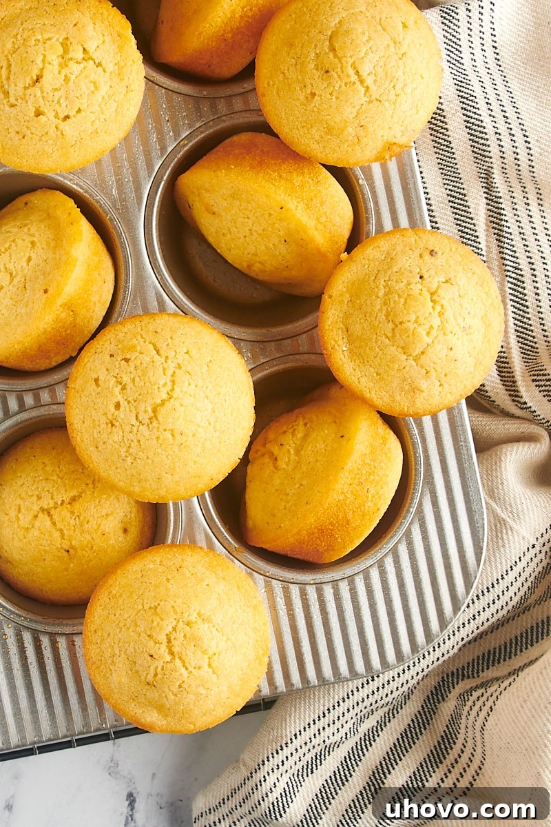 A delicious batch of savory corn muffins perfectly baked and cooling within a metal muffin tin.