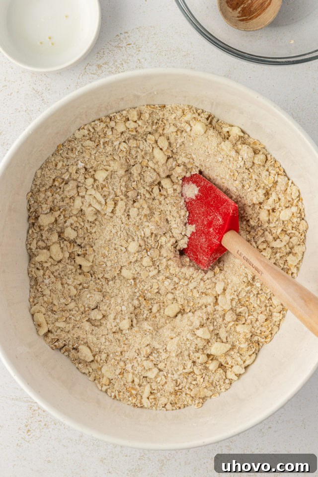 overhead view of raspberry oatmeal bars crust mixture in a mixing bowl