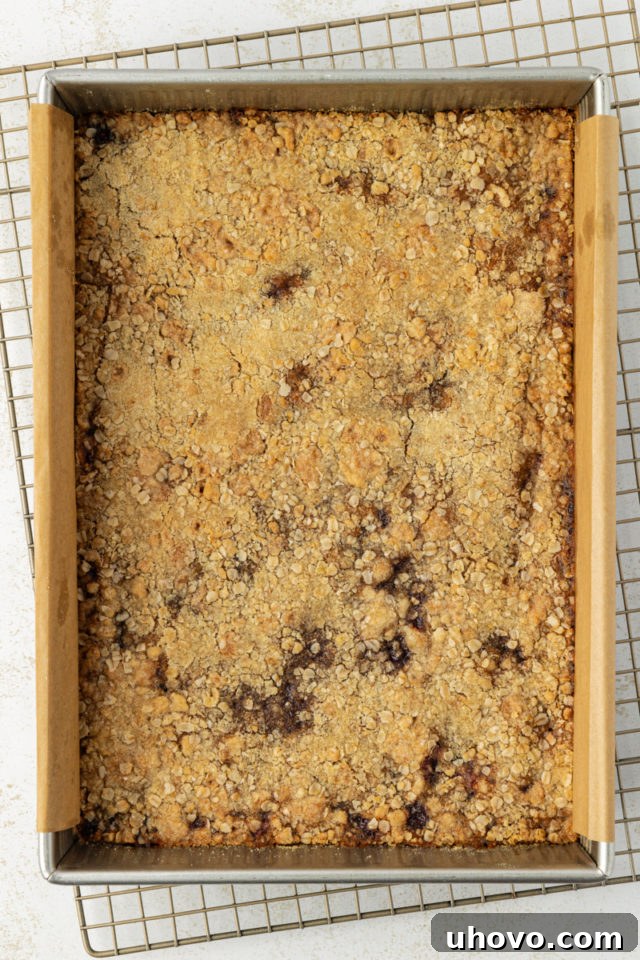 overhead view of freshly baked raspberry oatmeal bars in a 9x13 pan