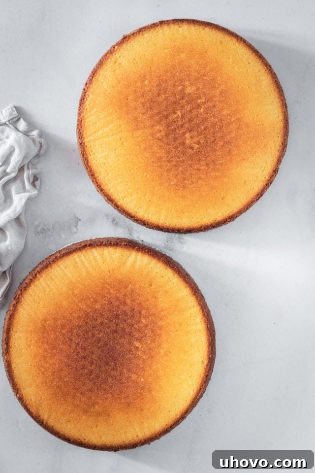 An overhead shot of two perfectly baked caramel cake layers, resting on a wire rack after being removed from their pans, showcasing their golden-brown crust and even rise.