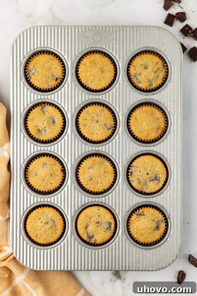 overhead view of freshly baked chocolate chunk cupcakes in a muffin pan