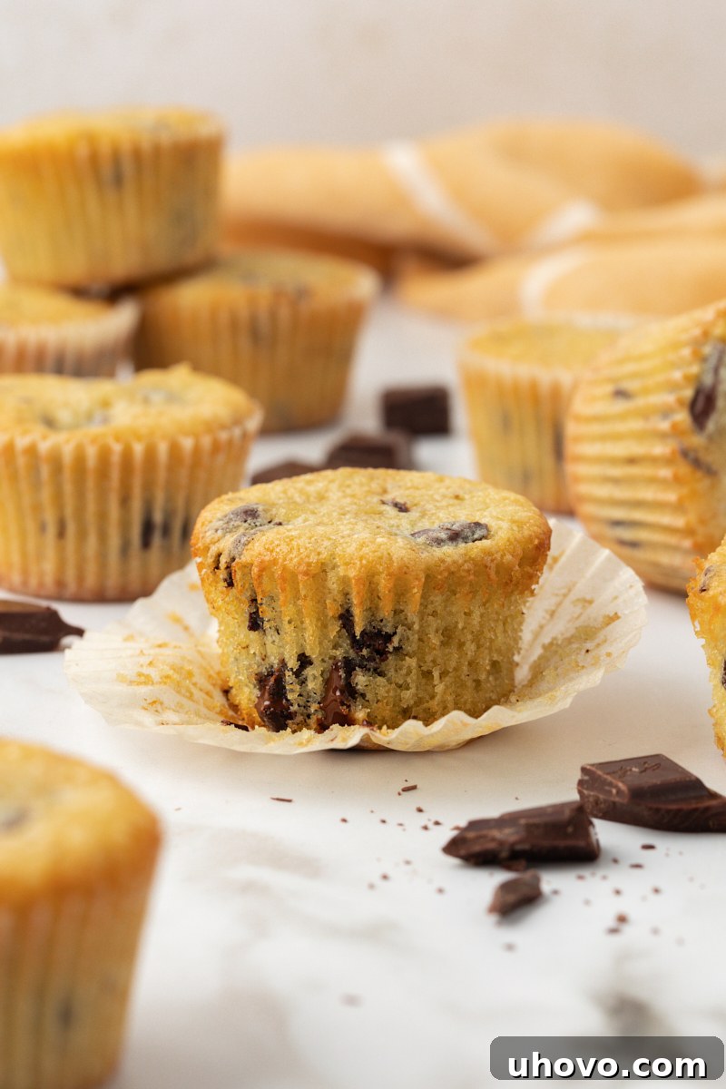 an unwrapped chocolate chunk cupcake surrounded by more cupcakes
