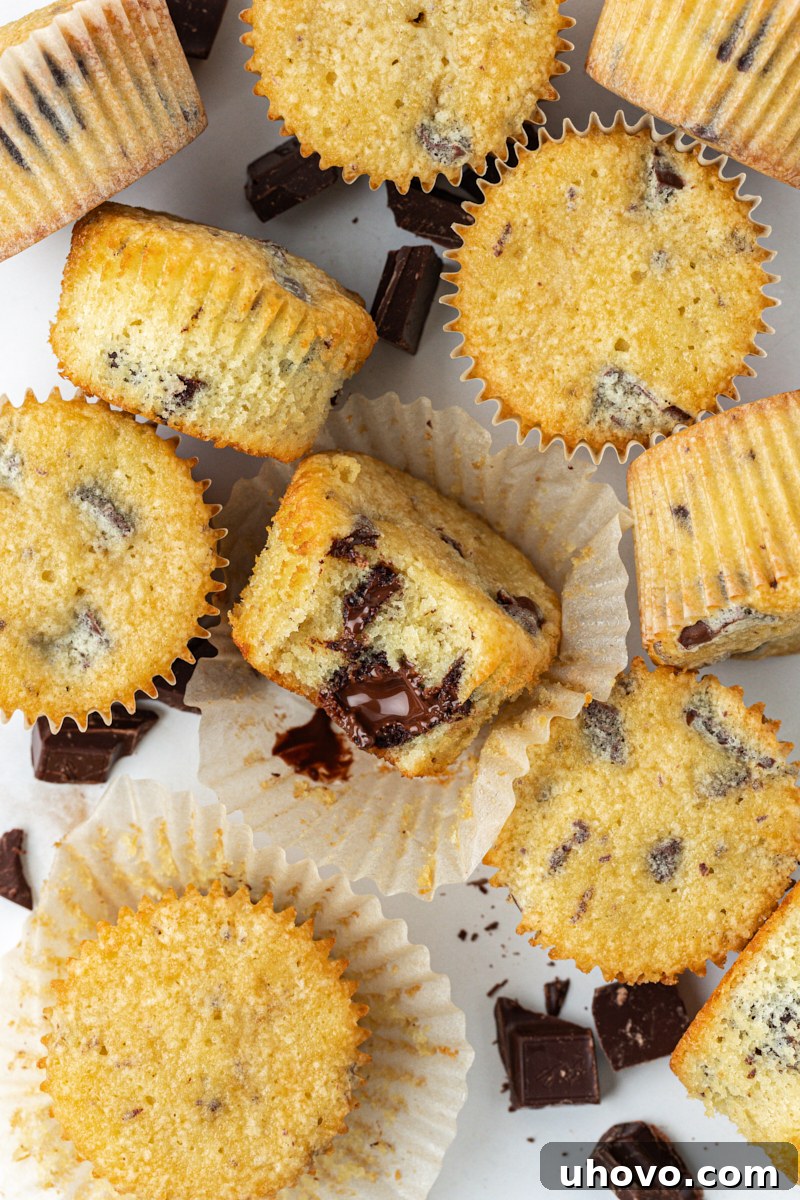 overhead view of several chocolate chunk cupcakes with a bite missing from the one in the center