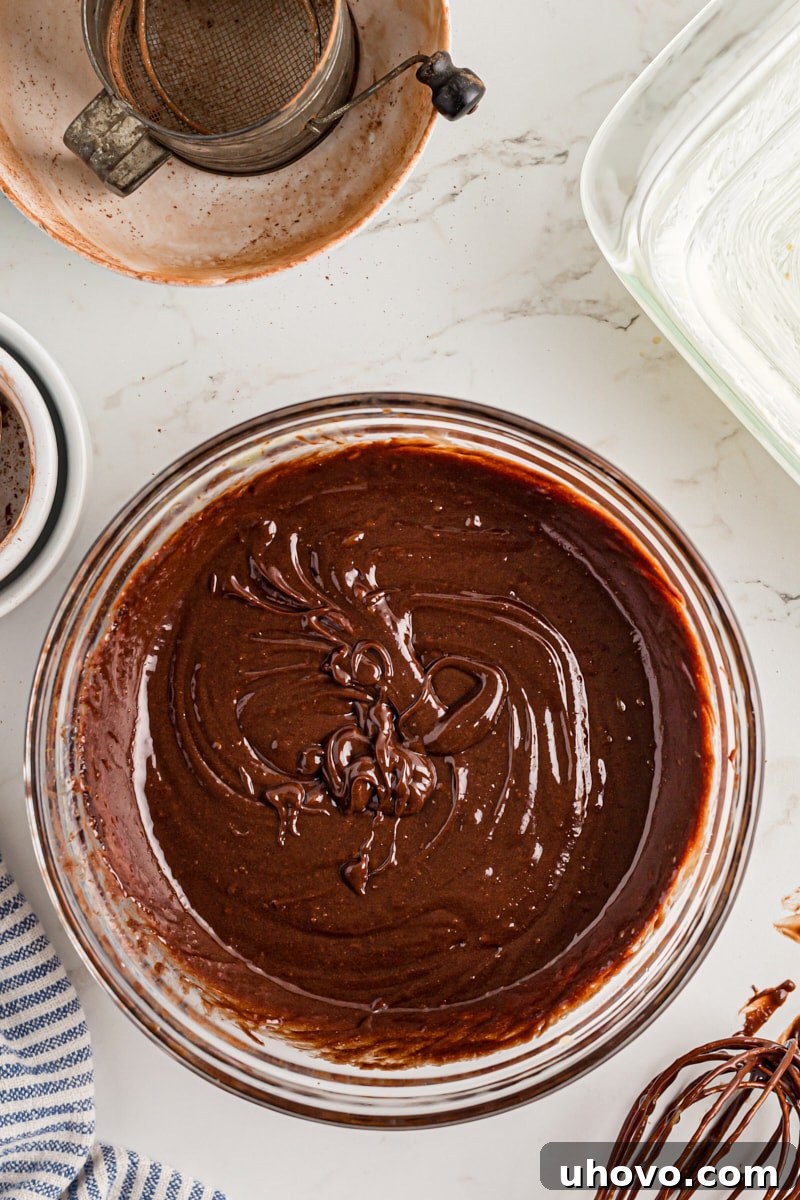 Overhead view of the thoroughly mixed wet ingredients for the brownies, showcasing a smooth and rich consistency.