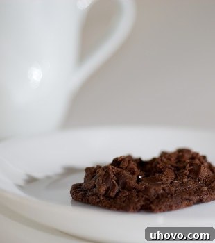 A perfectly baked chocolate cookie on a pristine white plate, sprinkled with delicate sea salt crystals, ready to be enjoyed.
