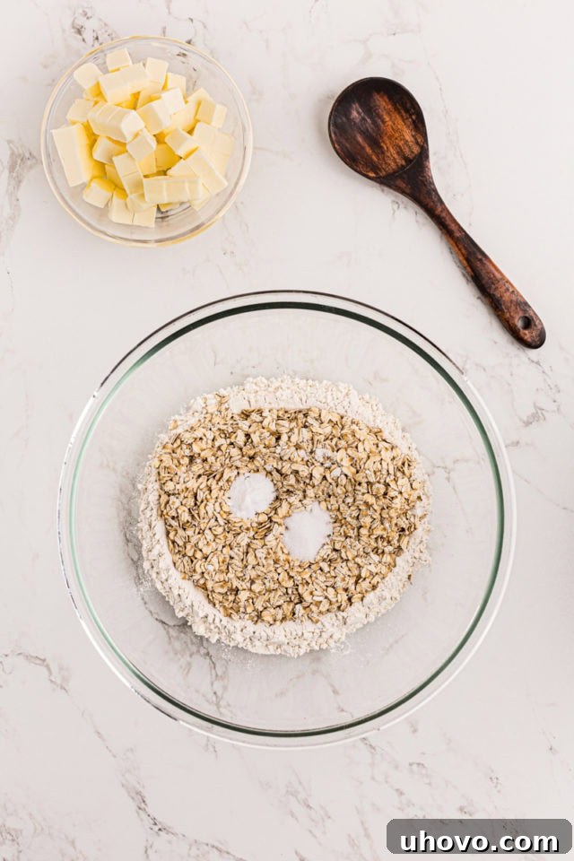 Dry ingredients for oatmeal bars crust in a mixing bowl: oats, flour, brown sugar, baking soda, and salt.