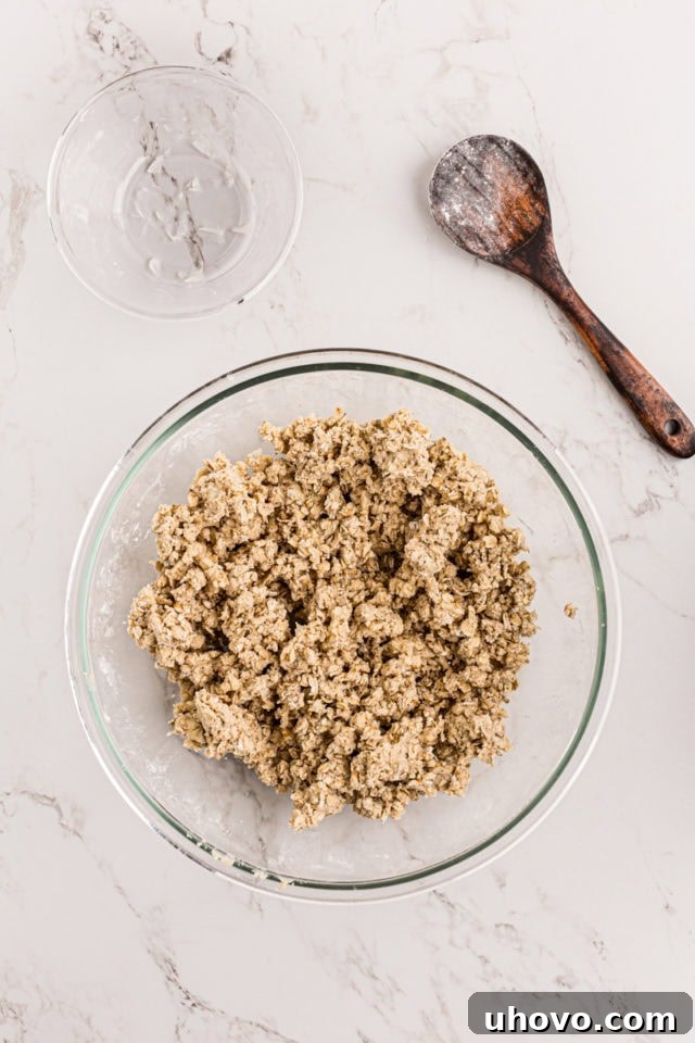 Close-up of the mixed oatmeal crust and topping mixture, resembling coarse crumbs.