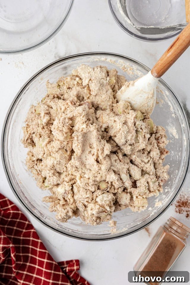 Overhead view of scone dough mixed with apples and cinnamon, ready for shaping.