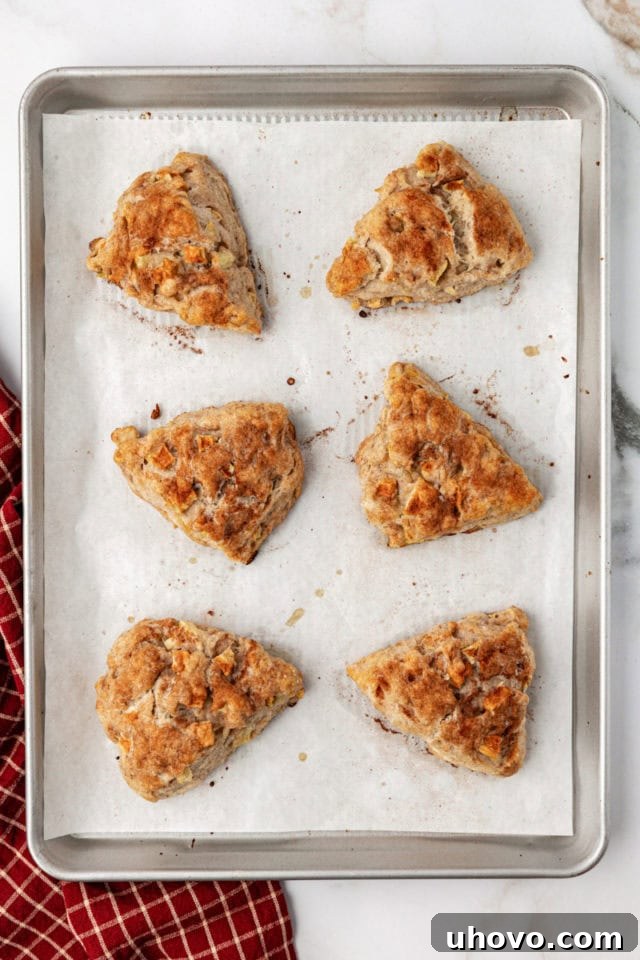 Overhead view of apple cinnamon scones on a parchment-lined sheet pan, ready for the oven.