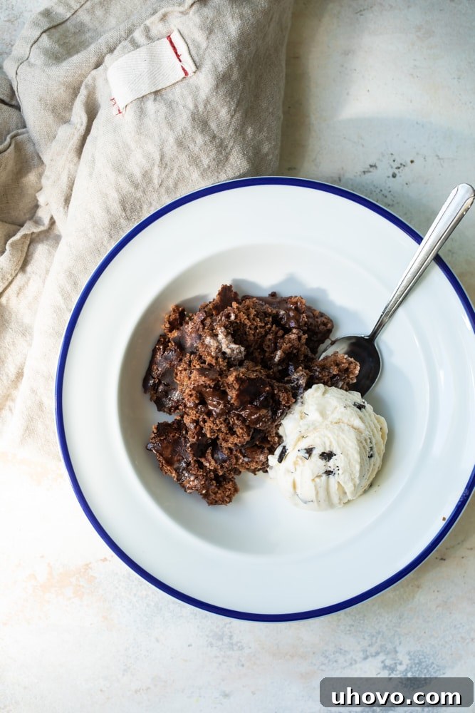 A delectable serving of warm Brownie Chocolate Pudding Cake presented in a rustic bowl, perfectly complemented by a scoop of melting vanilla ice cream on top.