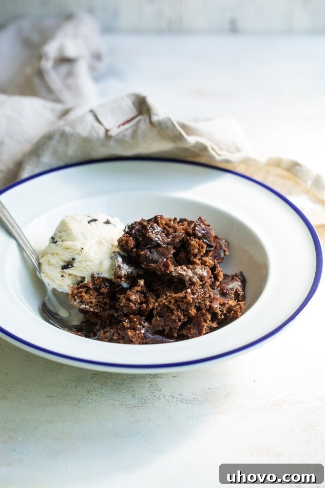 A generous serving of warm Brownie Chocolate Pudding Cake presented in a pristine white bowl, crowned with a scoop of melting vanilla ice cream and a sprig of fresh mint for garnish.