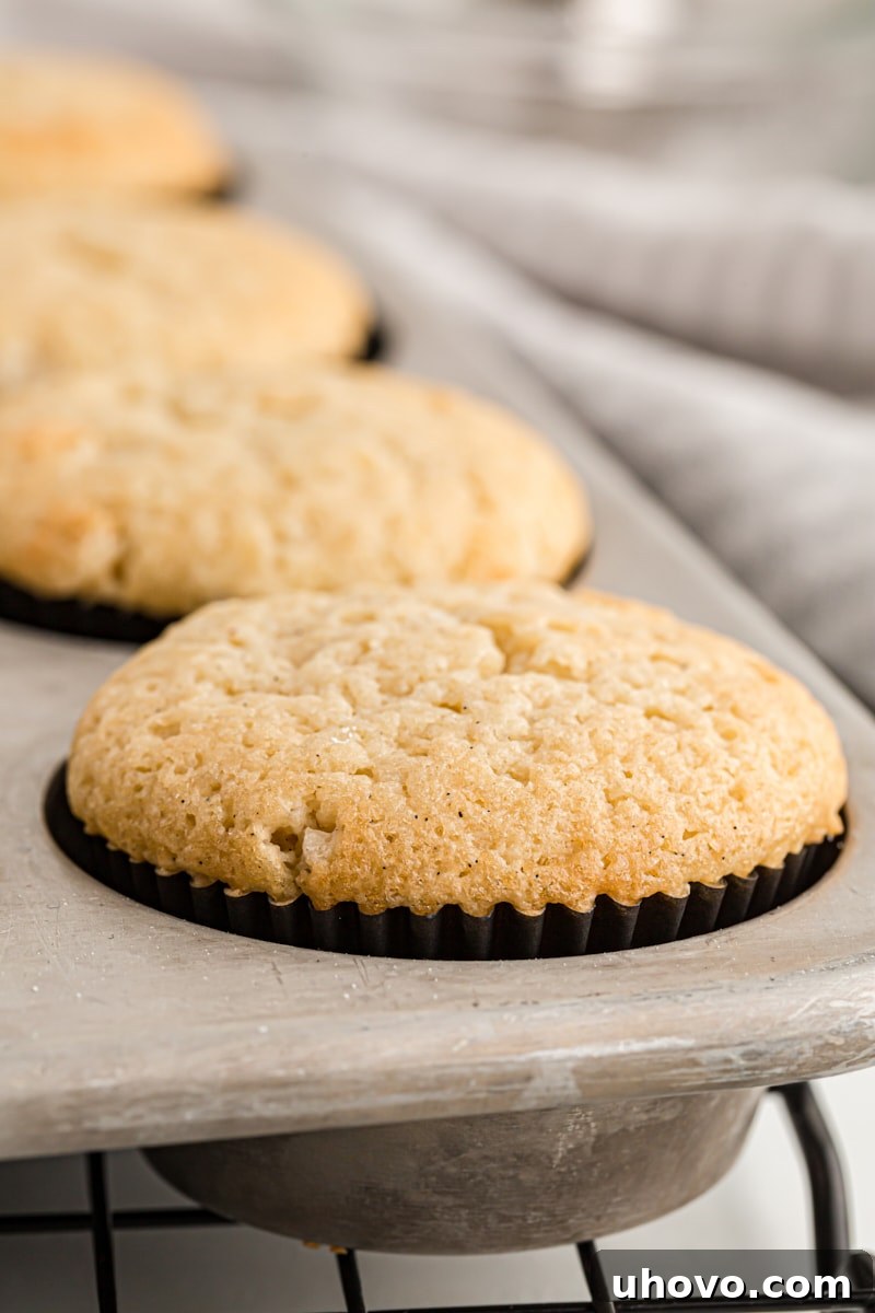 Freshly baked chocolate-filled cupcakes cooling in the muffin pan on a wire rack.
