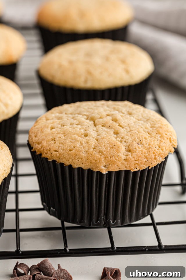 Chocolate-filled cupcakes on a wire cooling rack, perfectly baked and awaiting a dusting of powdered sugar.