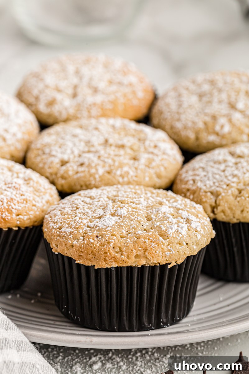 A plate brimming with beautifully dusted chocolate-filled vanilla cupcakes, ready to be enjoyed.