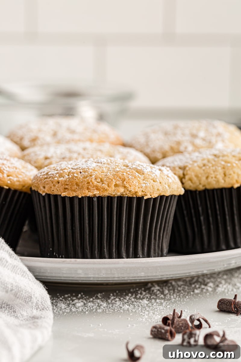 A plate of beautifully baked chocolate-filled vanilla cupcakes, elegantly dusted with powdered sugar.