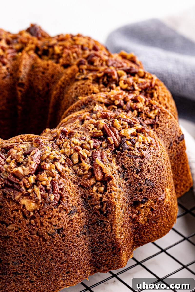 A freshly baked chocolate chip Bundt cake cooling on a wire rack, its intricate design visible and steam gently rising.