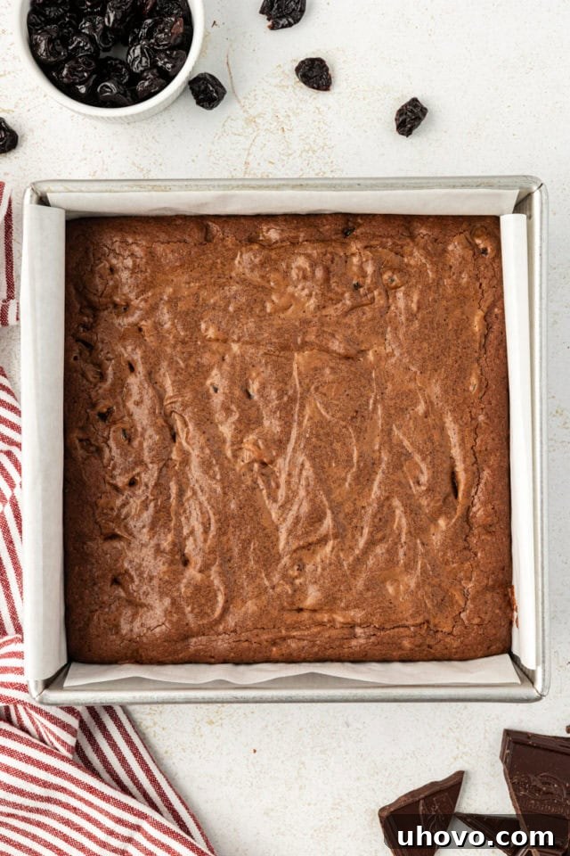 Dark chocolate sour cherry brownies baking in a square baking dish, showing a slightly puffed and set surface.