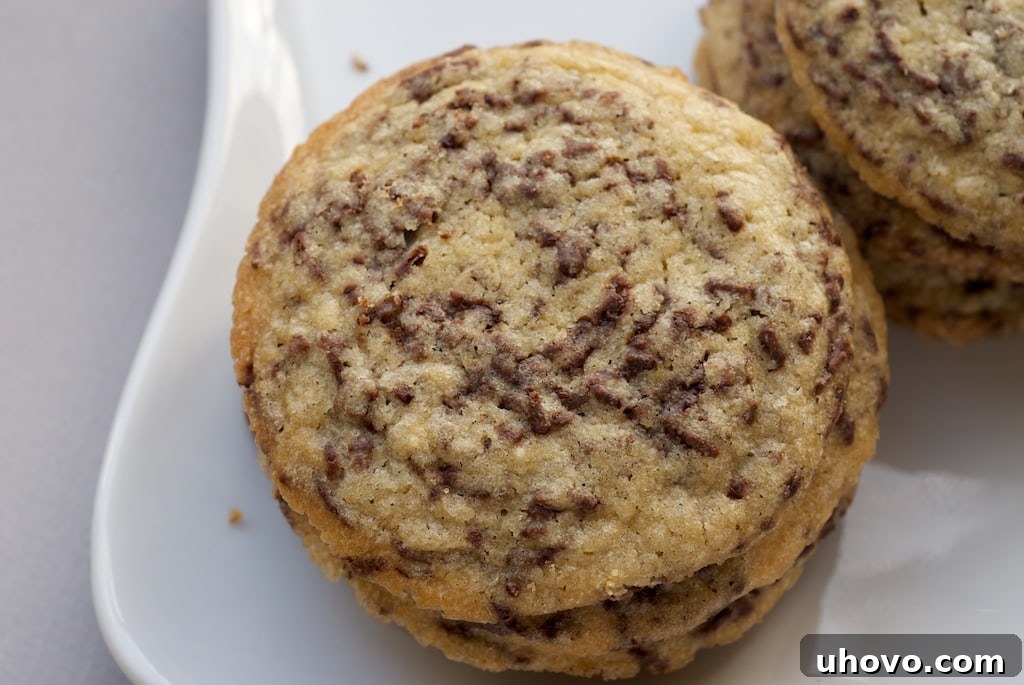 Chocolate Sprinkles Cookies have big chocolate flavor in every bite!
