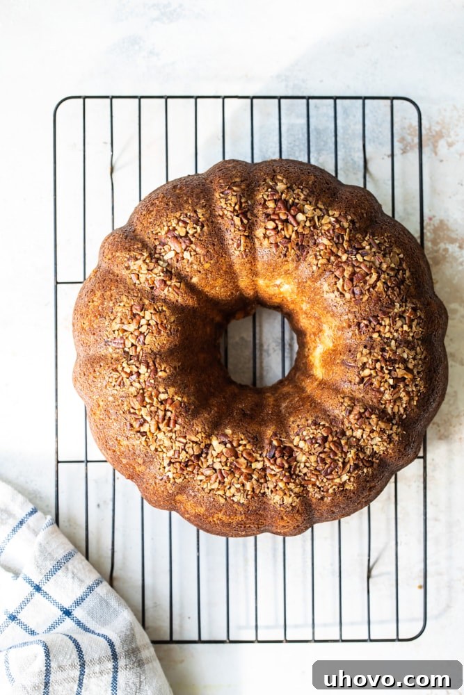 overhead view of Hummingbird Bundt Cake on a wire rack