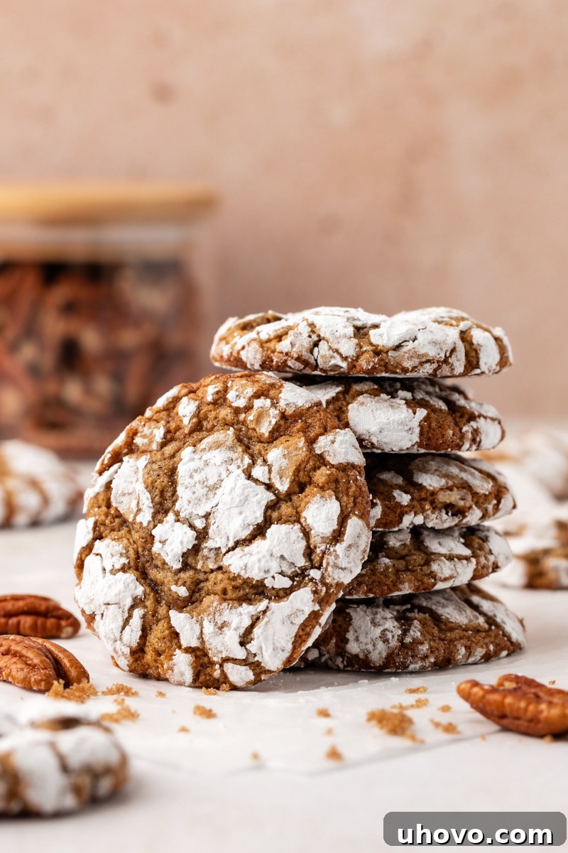 A charming stack of 5 brown sugar crinkle cookies, with one cookie leaning gently against the stack, highlighting their delicate powdered sugar coating.