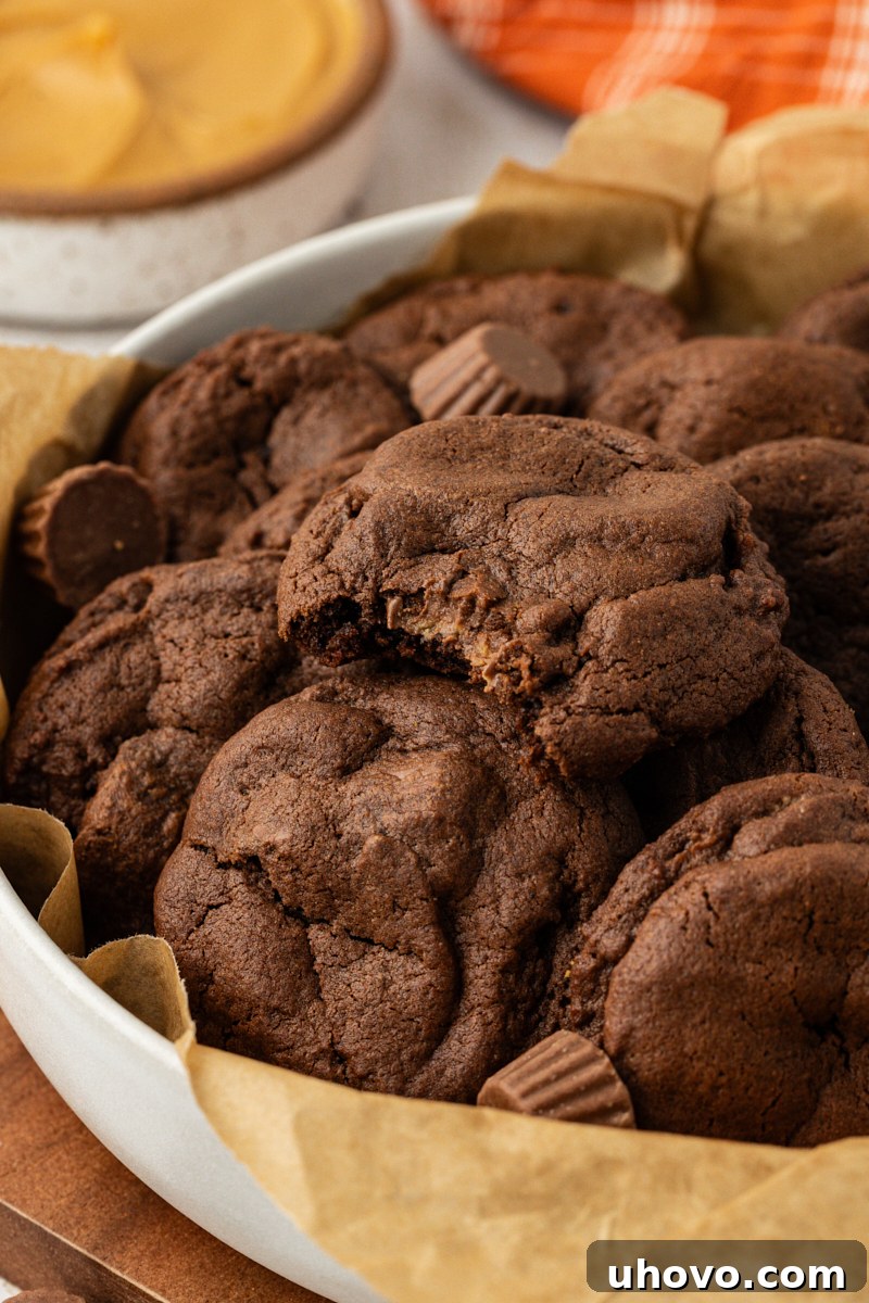 chocolate peanut butter cookies piled in a large white bowl with the cookie on top missing a bite to show the peanut butter cup filling