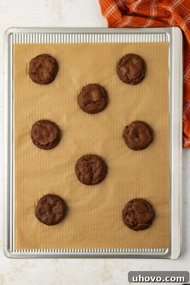 overhead view of freshly baked chocolate peanut butter cookies on a parchment-lined baking sheet