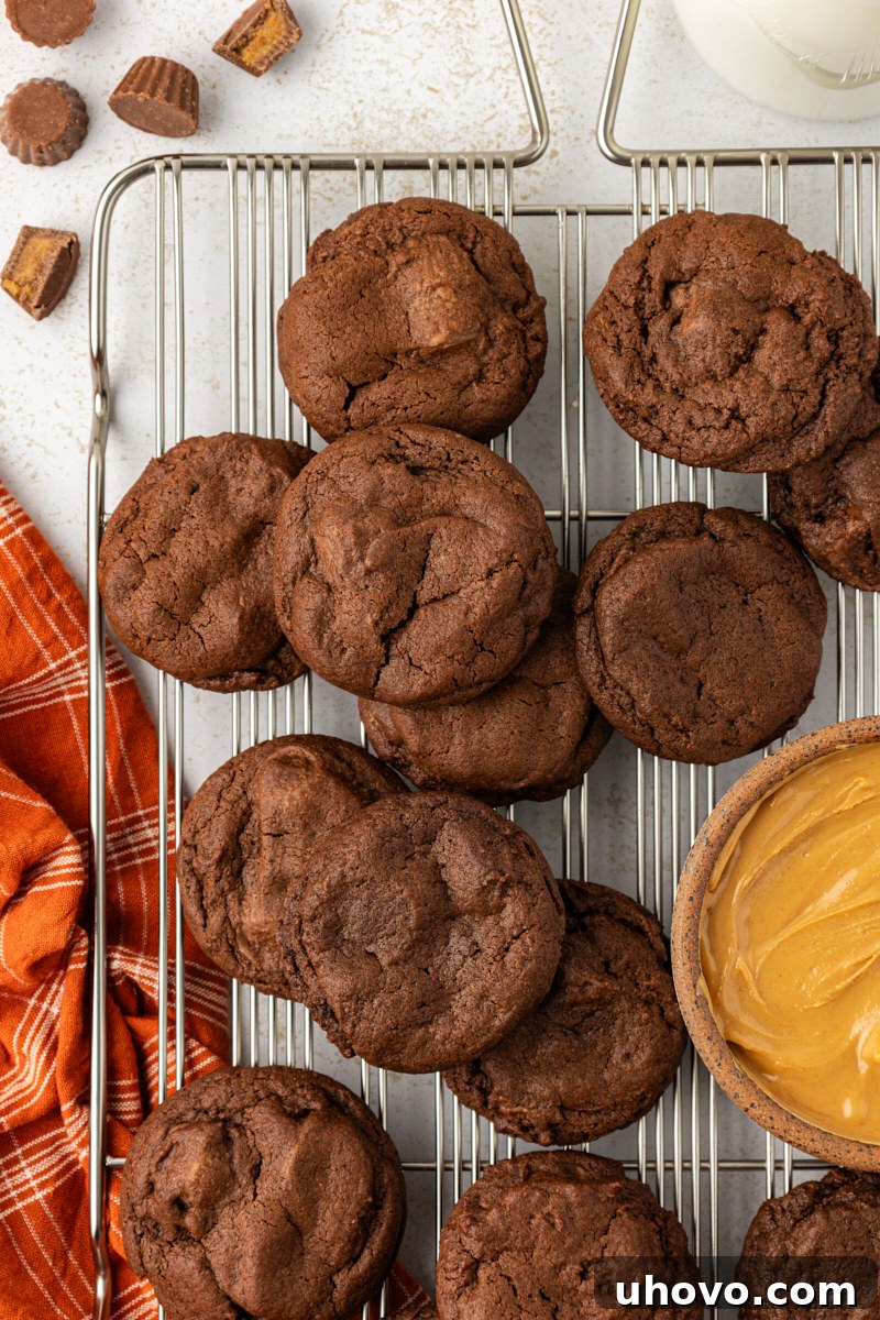overhead view of chocolate peanut butter cookies on a wire rack