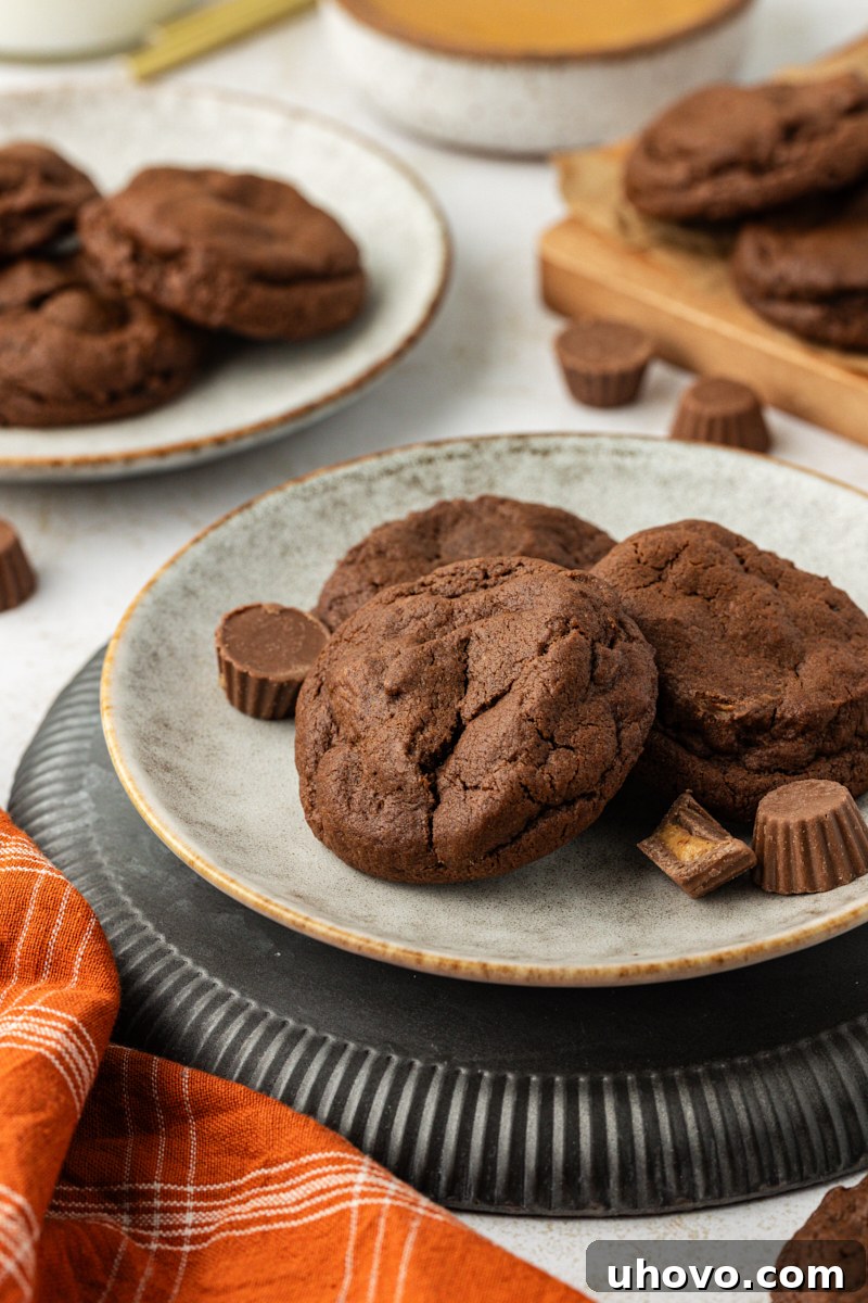 three chocolate peanut butter cookies on a plate with more cookies in the background