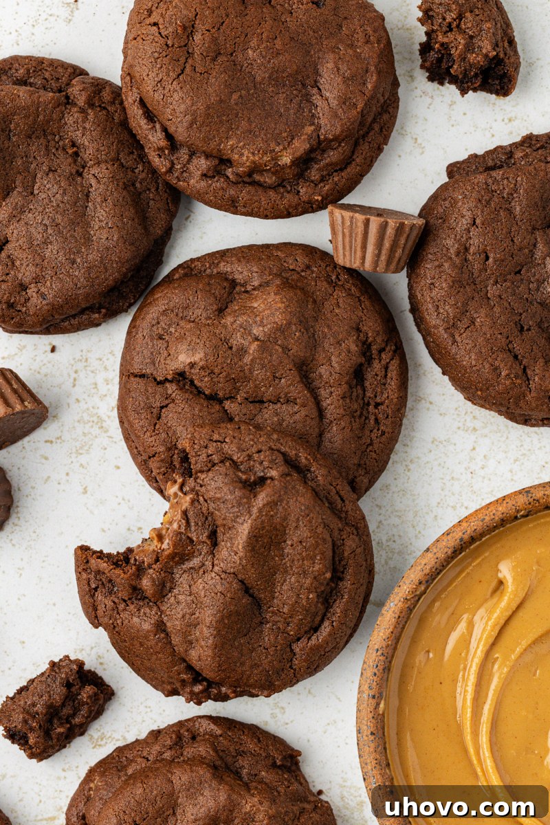 overhead view of several chocolate peanut butter cookies on a countertop