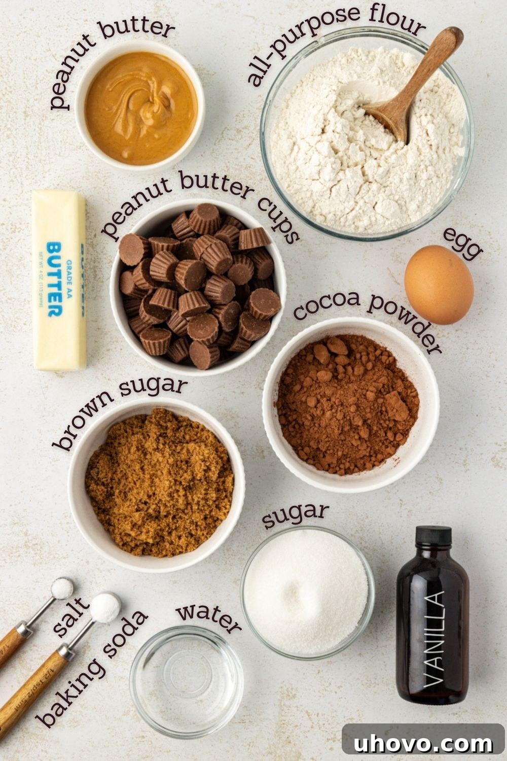 overhead view of ingredients for chocolate peanut butter cookies