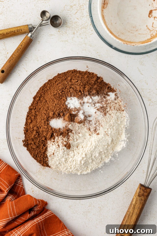 overhead view of dry ingredients for chocolate peanut butter cookies