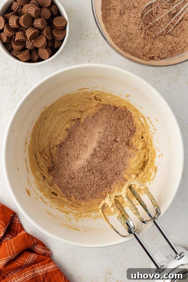 overhead view of dry ingredients added to wet ingredients for chocolate peanut butter cookies