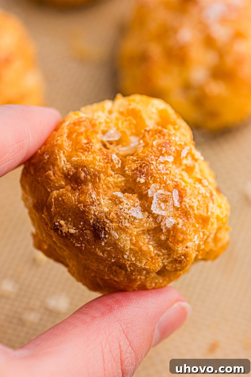 A hand holding a freshly baked gougère, sprinkled with coarse sea salt, against a softly blurred background.