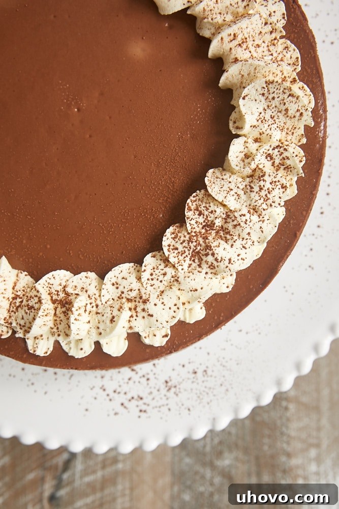 Overhead view of a perfectly baked Chocolate Kahlua Cheesecake, elegantly topped with whipped cream and a dusting of cocoa powder