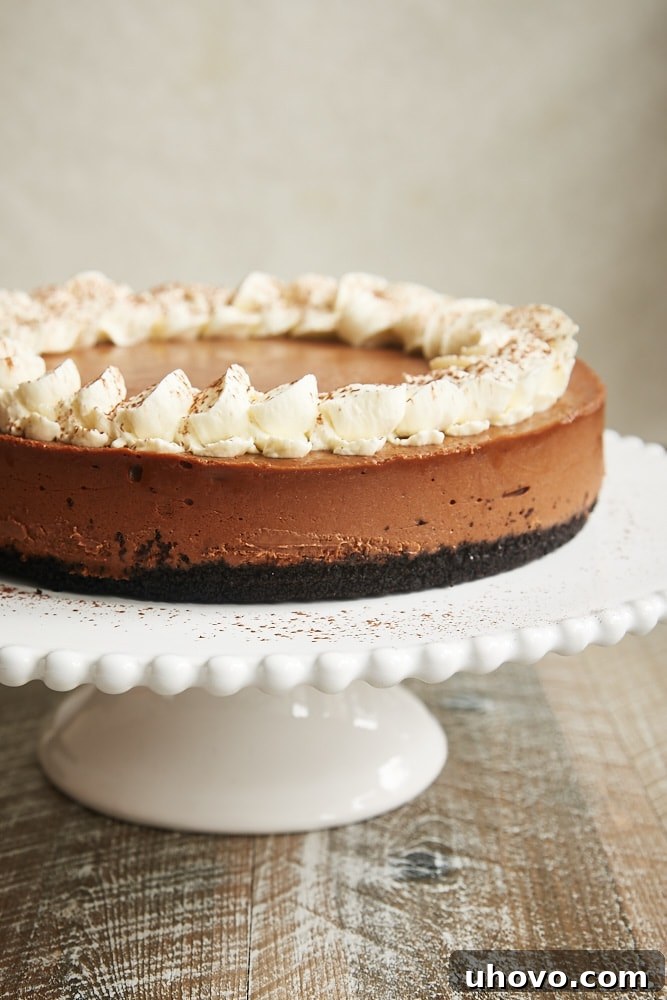 Chocolate Kahlua Cheesecake on a white pedestal