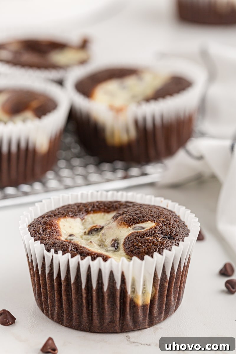 Black bottom cupcake with more in the background.