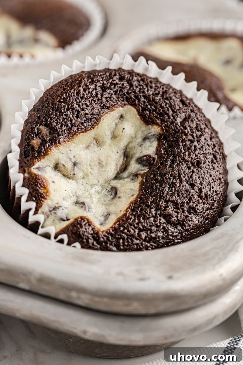 Close up of a black bottom cupcake in the tray