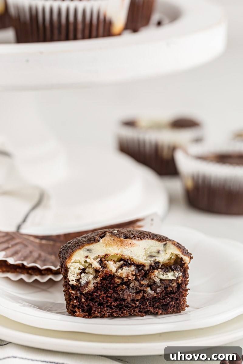 half of a Black Bottom Cupcake on a white plate