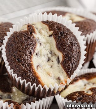 A plate full of black bottom cupcakes.