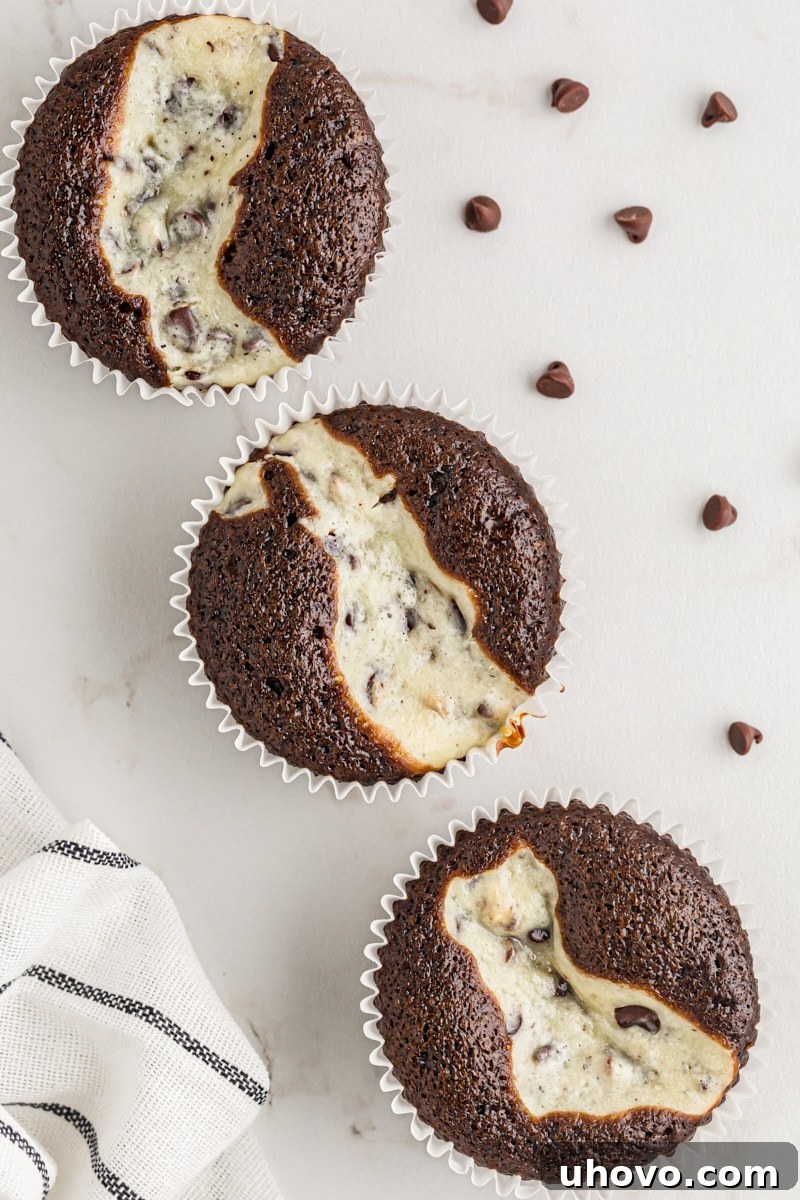 three Black Bottom Cupcakes on a marble surface