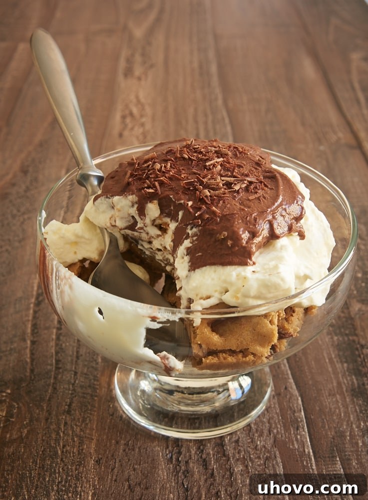 A close-up view of a single Blondie Pudding Trifle in a footed glass bowl, highlighting the defined layers and tempting presentation.