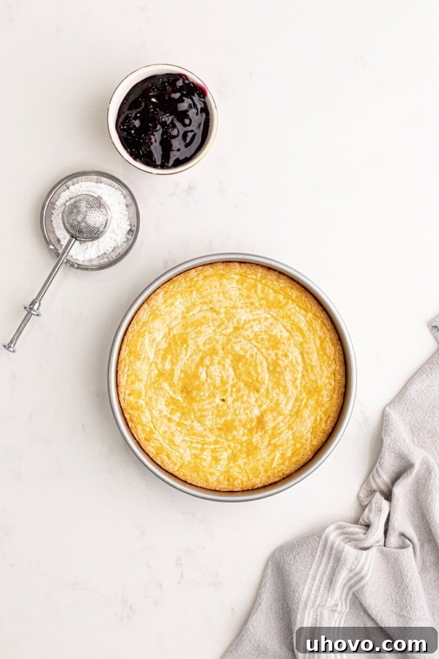 A freshly baked Almond Gâteau Breton, golden brown and perfectly risen, cooling in its cake pan after emerging from the oven.