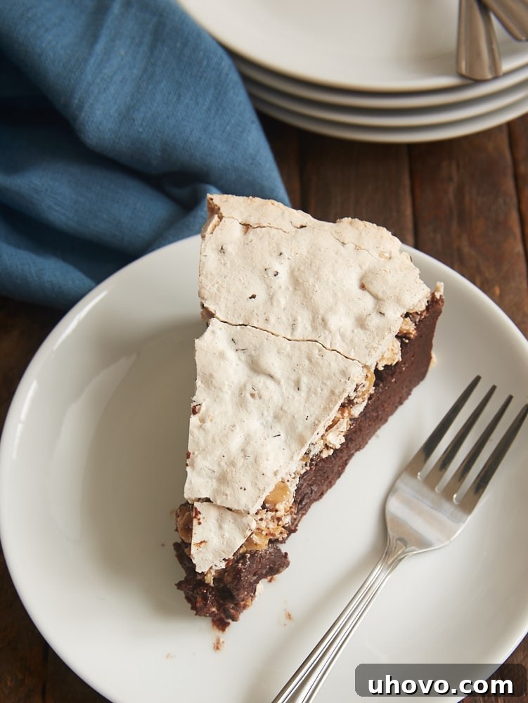 A perfectly sliced piece of Chocolate Meringue Cake on a white plate, revealing the distinct layers of rich chocolate cake and fluffy meringue with hazelnut pieces.