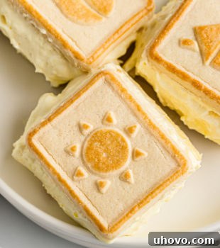 Servings of banana pudding on plate, ready for enjoyment.