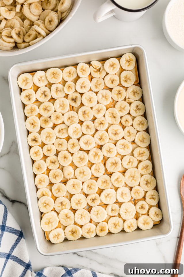 Overhead view of banana and cookie layers at the bottom of a glass baking dish.