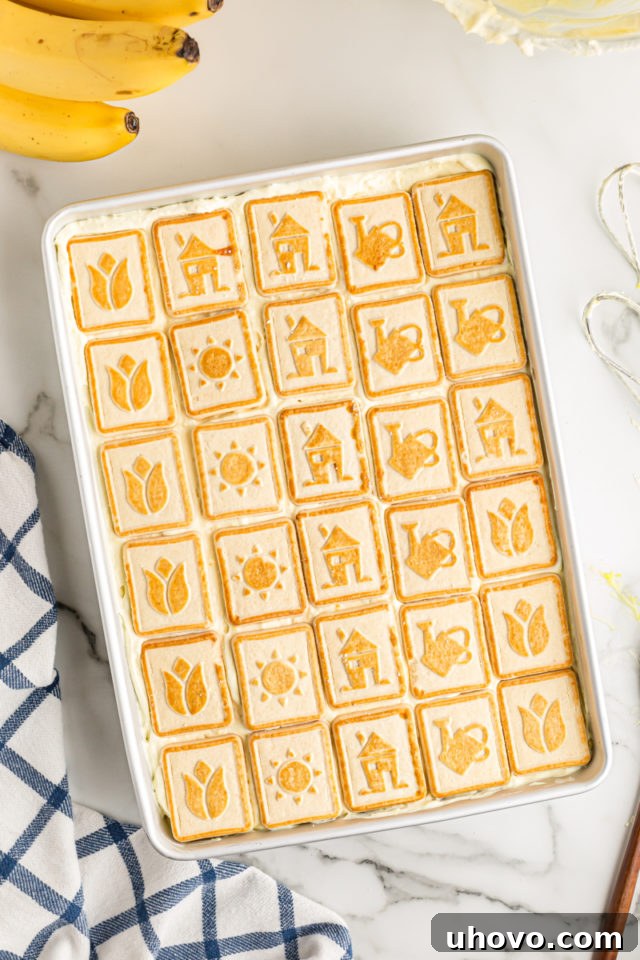 Overhead view of the completed banana pudding in a dish, topped with the final layer of cookies.