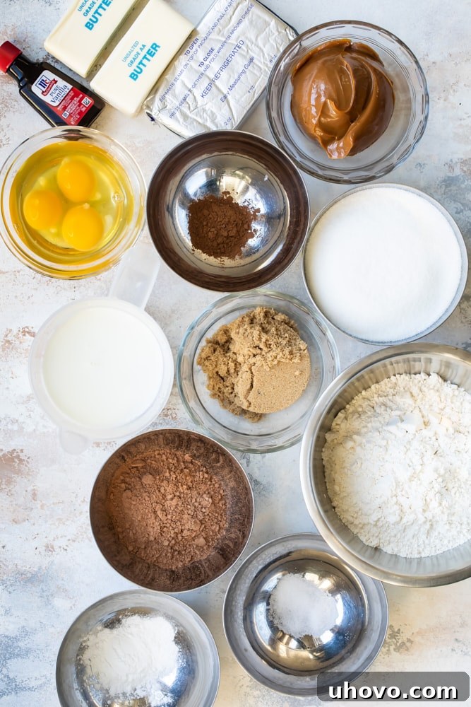 overhead view of ingredients for Mexican Chocolate Cupcakes with Dulce de Leche Frosting