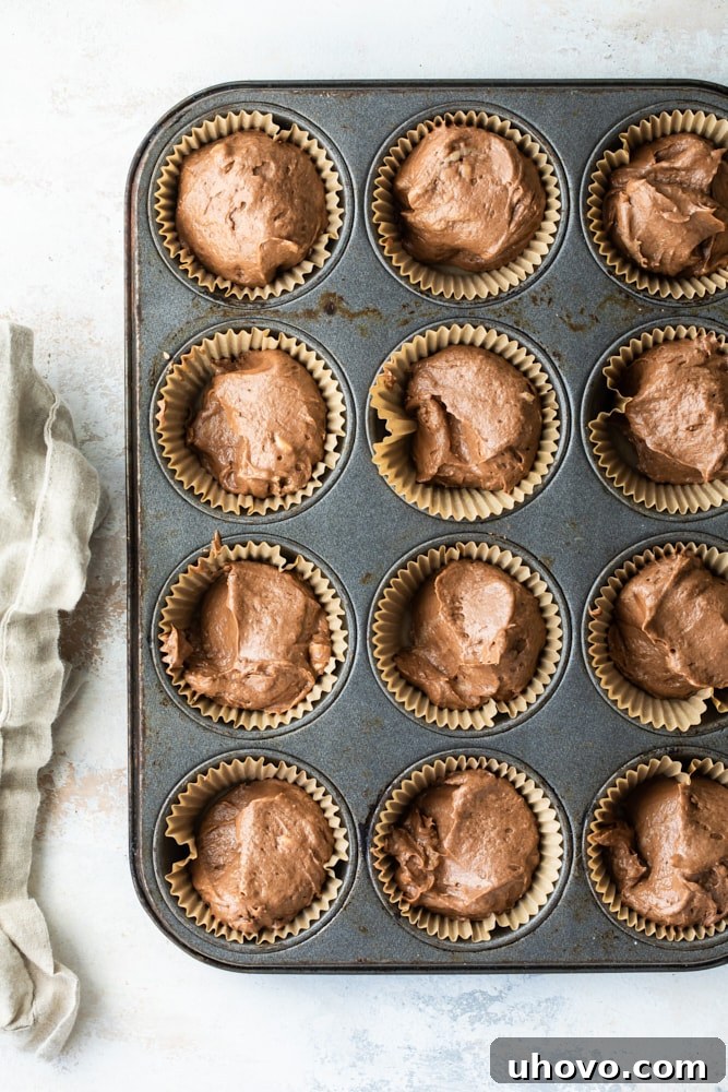 overhead view of Mexican Chocolate Cupcakes with Dulce de Leche Frosting batter portioned into a muffin pan