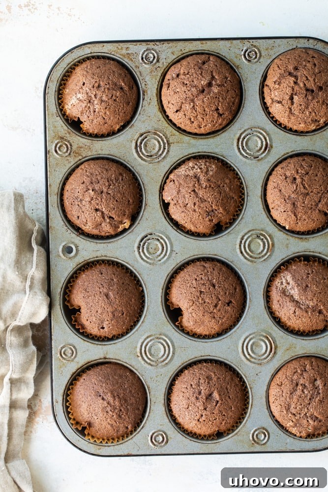 overhead view of baked Mexican Chocolate Cupcakes in a muffin pan